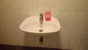 Fotografia z galérie ubytovania Studio Apartment Posavec v destinácii Premantura