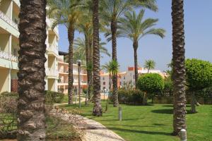 a row of palm trees next to a building at MSHomes Corcovada in Albufeira
