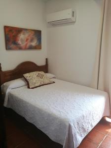1 Schlafzimmer mit einem Bett mit Kissen und Klimaanlage in der Unterkunft Hotel las Salinas in Cabo de Gata