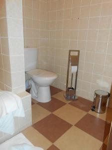 a bathroom with a toilet and a tiled floor at Hotel Bitov in Bítov