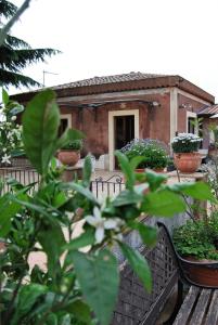 a house with potted plants and a bench at B&B Bellini in Milo