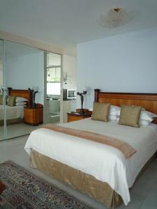 Un dormitorio con una cama grande y un espejo. en Brooklyn Lodge, en Pretoria
