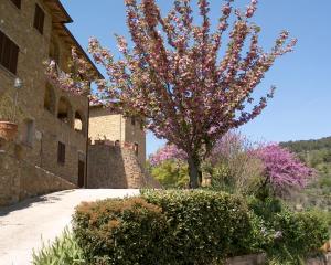 a tree with pink flowers next to a building at La Chiusa dei Monaci in Castelmuzio