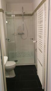 ザンクト・アンドレーアスベルクにあるLuchsbutzeのバスルーム(トイレ、ガラスドア付きのシャワー付)