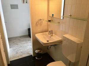 ザンクト・アンドレーアスベルクにあるLuchsbutzeのバスルーム(洗面台、トイレ、鏡付)