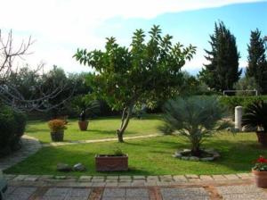 un jardin avec des arbres et des plantes dans une cour dans l'établissement Villa Chiarenza Maison d'Hotes, à Giardini Naxos