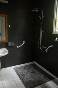 La salle de bains est pourvue d'une douche et d'un lavabo. dans l'établissement Gites de la falaise, à Le Tampon