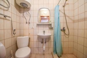 a bathroom with a toilet and a sink at Laukdvaris in Laukžemė +210 photos