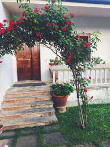 an arch with roses in front of a door at Villa La Perla in Corsanico-Bargecchia