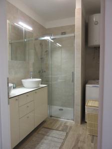 Koupelna v ubytování Apartment Skadenca