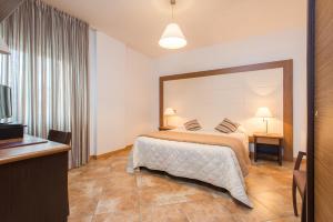 a hotel room with a bed and a television at Royal Hotel in Cosenza