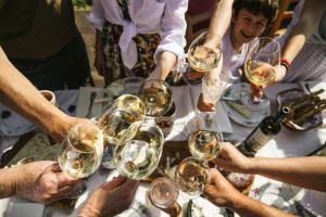 a group of people holding up wine glasses at Villa Venti - Craft Wine & Hospitality in Roncofreddo