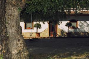 Galeriebild der Unterkunft Agriturismo Il Regio Tratturo in Baselice