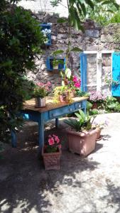 un tavolo blu con piante in vaso di B&B San Francesco a Oliena