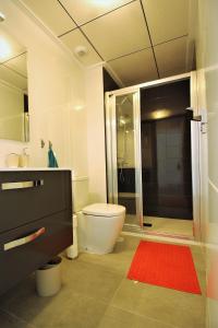 サン・ペドロ・デル・ピナタルにあるVilla Alegreのバスルーム(トイレ、赤い敷物付きのシャワー付)