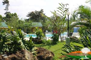 un complejo con piscina y algunas plantas en Dream Away Corinto, en La Ruidosa