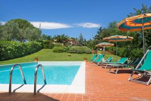 un grupo de sillas y sombrillas junto a una piscina en Agriturismo Terre di Toscana, en Terricciola