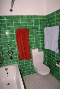 uma casa de banho com azulejos verdes, um WC e uma banheira em Ferienwohnung in Davos em Davos