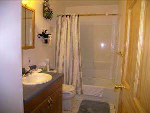 a bathroom with a sink and a toilet and a shower at Grace and Bill's Freedom Hills B&B in Talkeetna +92 photos