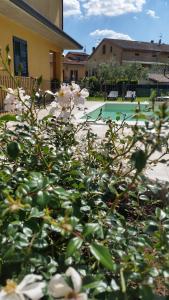 Un mazzo di fiori davanti a una piscina di Residenza Cieloterra a Rivotorto