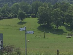 Foto sihtkohas Thomastown asuva majutusasutuse Viewmount galeriist