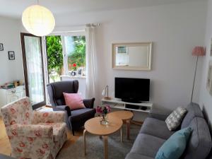 TV a/nebo společenská místnost v ubytování Apartment Villa Zizzy