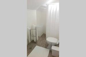 リスボンにあるWhite cosy apartmentの白いバスルーム(トイレ、シャワー付)