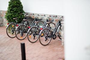 Jízda na kole v ubytování Villa Magalean Hotel & Spa nebo okolí + 37 fotografií