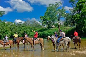a group of people riding horses in the water at Banana Bank Lodge & Jungle Horseback Adventures in Belmopan