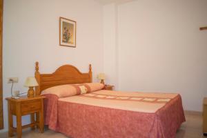 Posteľ alebo postele v izbe v ubytovaní Apartamentos Carmina