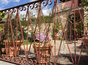 A garden outside Aia dei Limoni