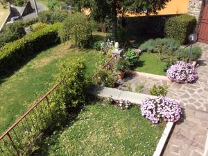 A garden outside Aia dei Limoni