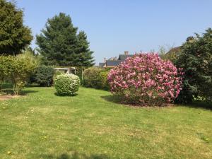 un jardín con flores rosas en la hierba en Le Valdine en Jemeppe