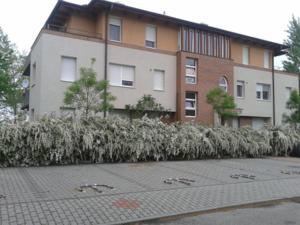 Gallery image of Anita Apartment in Balatonboglár +10 photos