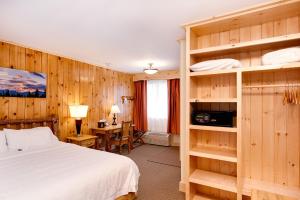 Televiisor ja/või meelelahutuskeskus majutusasutuses Adirondack Spruce Lodge