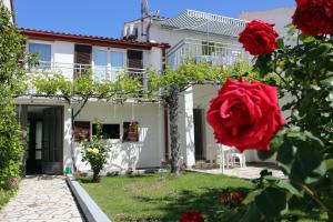 a house with a red rose in the yard at Guesthouse Meri in Fažana