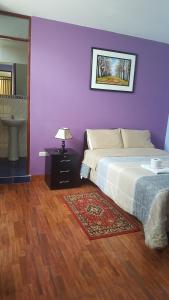 Postel nebo postele na pokoji v ubytování Hostal Los Pinos