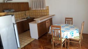 Kuchyň nebo kuchyňský kout v ubytování Apartments Dragan