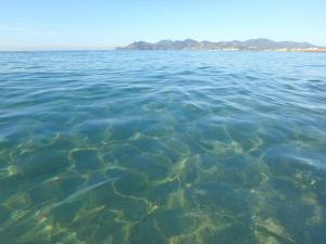 Imagen de la galería de Residence Veles Plage, en Cannes