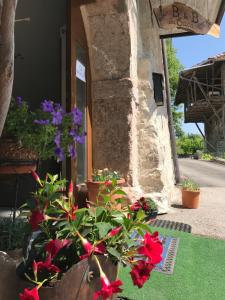 Zahrada ubytování B&B da Erica