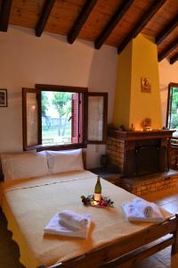 una camera da letto con un letto grande e un camino di Chouchounikos Apartments a Lefokastro