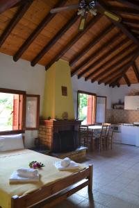 un soggiorno con letto e camino di Chouchounikos Apartments a Lefokastro