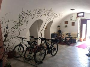 un gruppo di biciclette parcheggiate in una stanza di B&B da Erica a Comano Terme