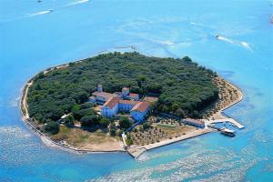 Eine Insel im Ozean mit einem Haus darauf in der Unterkunft Apartment Ivana in Punat