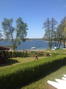 Príroda v okolí chaty v prírode
