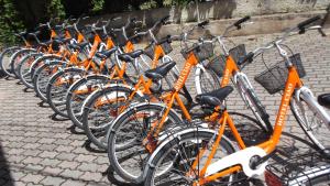 Afbeelding uit fotogalerij van Hotel Ciao Bed & Breakfast in Lignano Sabbiadoro