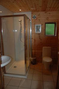 a bathroom with a shower and a toilet at Fir Tree Lodge in Blairgowrie