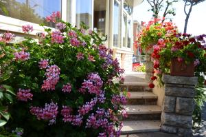 a bunch of flowers on the side of a building at Hotel Puccinelli in Lido di Camaiore +31 photos