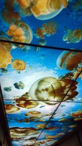 Gambar di galeri bagi Palau Hotel di Koror