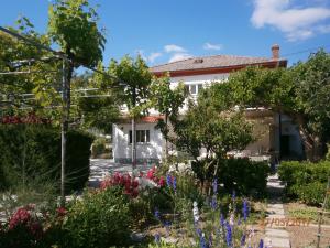 un jardin avec des fleurs en face d'une maison dans l'établissement Gvačić House, à Supetarska Draga